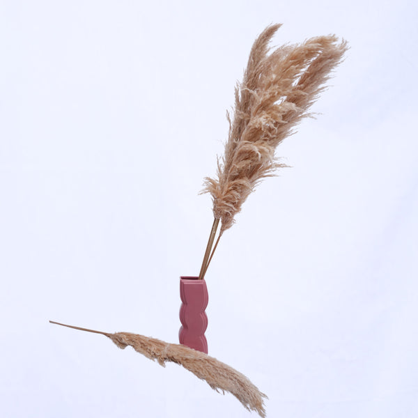 Pampas Grass Sticks
