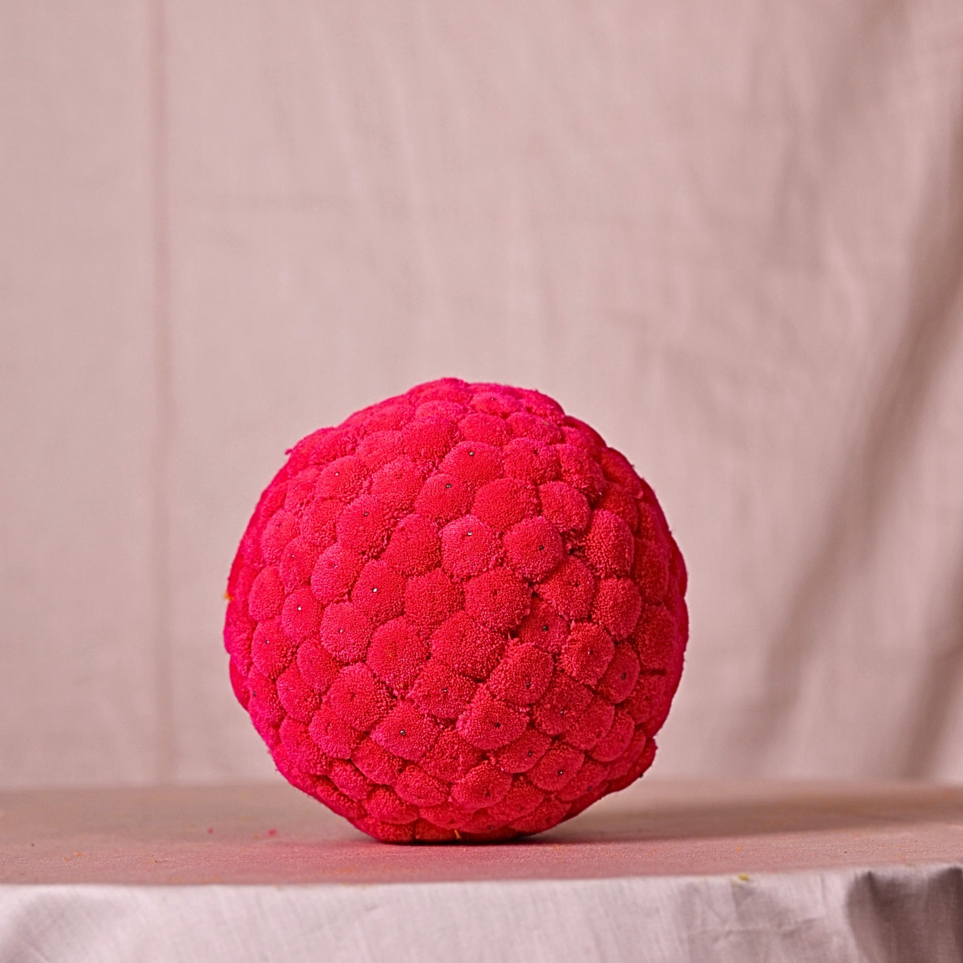Pom Pom Decor Ball - Pink